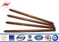 Pure Earth Earth Bar Copper Grounding Rod Flat Pointed 0.254mm Thickness সরবরাহকারী