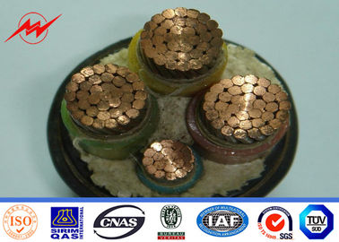 চীন 0.3kv-35kv Medium Voltage House Wiring Copper Cable PE.PVC/XLPE Insulated সরবরাহকারী