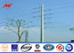 ISO Electrical Power Pole Powerful Transmission Line GR65 Galvanized Steel Poles সরবরাহকারী